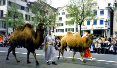 Switzerland-Zurich-Camels