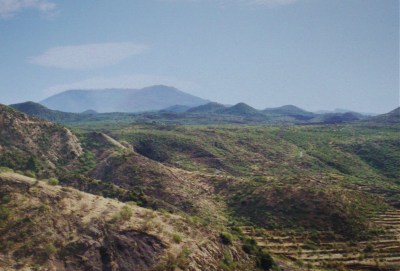 Agricultural terraces in Tenerife