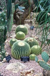 Muttart Conservatory