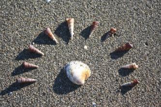 New_Zealand_Tapu_Bay