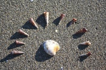 Tapu Bay, New_Zealand