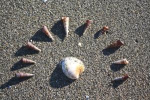 New_Zealand_Tapu_Bay