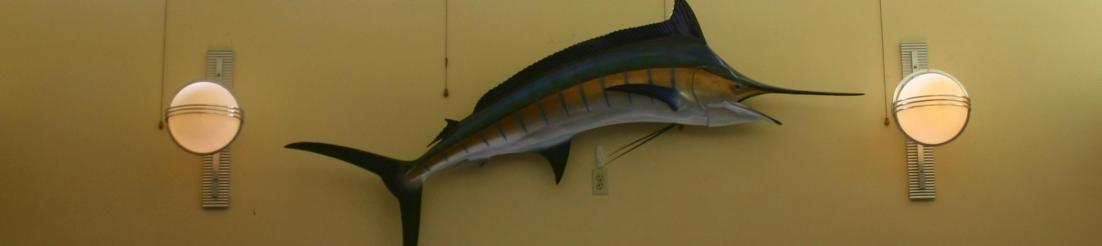 Oceanaire Seafood Room, Baltimore, Maryland