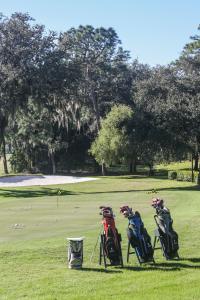 Innisbrook, Palm Harbor, Florida