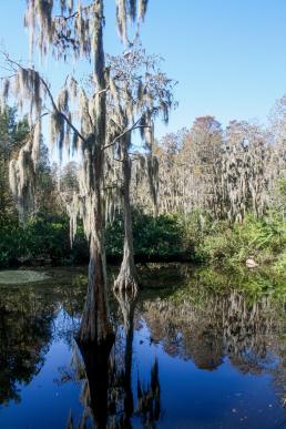 Innisbrook Golf & Spa Resort, Palm Harbor, Florida