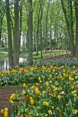 Keukenhof, Lisse, Netherlands