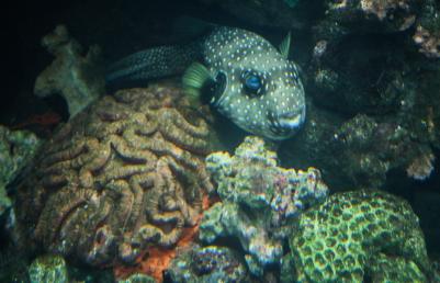 National Aquarium, Napier, New Zealand