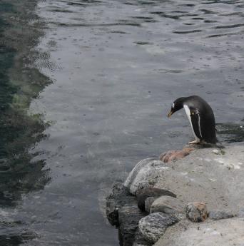 Bergen Aquarium, Bergen, Norway