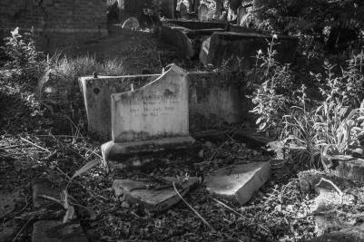 Symonds Street Cemetery, Auckland, New Zealand