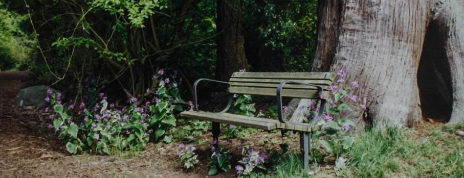 UBC, Botanic Garden, Vancouver, British Columbia