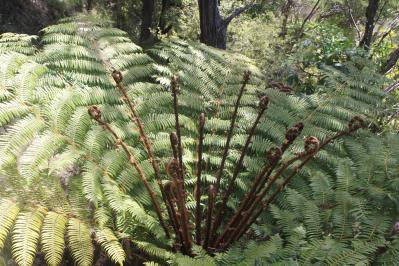 Abel Tasman National Park, New Zealand