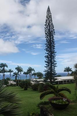 Ottley's Plantation Inn, St. Kitts