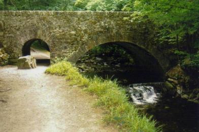 Killarney National Park, Ireland