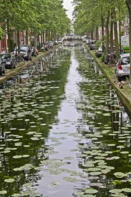 Canal, Delft, Netherlands