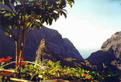 Masca, Tenerife, Canary Islands