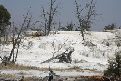 Mammoth Hot Springs, Yellowstone National Park, Wyoming