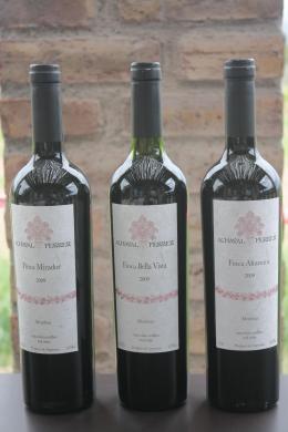 Wine bottles, Mendoza, Argentina