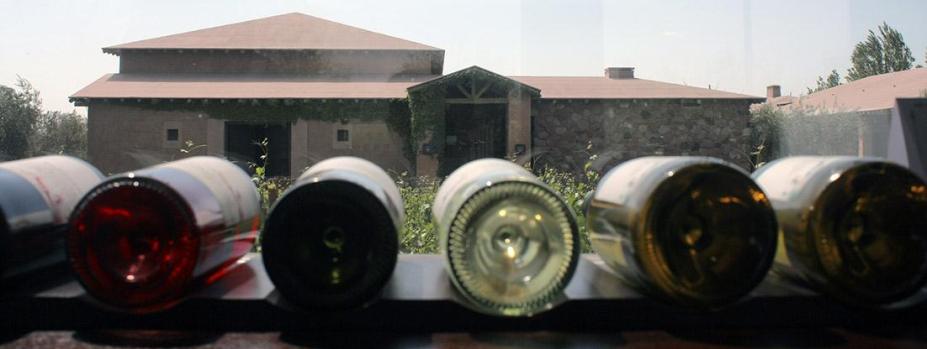 Wine bottles, Mendoza, Argentina