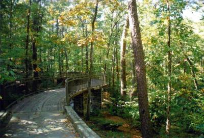 Garvan Woodland Gardens, Hot Springs, Arkansas