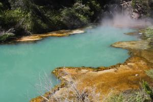 Waimangu Volcanic Valley, New Zealand