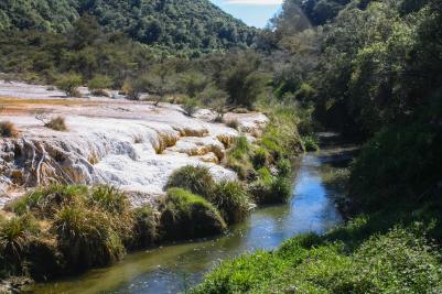 Waimangu Volcanic Valley, New Zealand