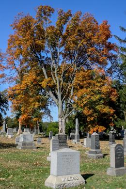 Green-Wood Cemetery, Brooklyn, New York