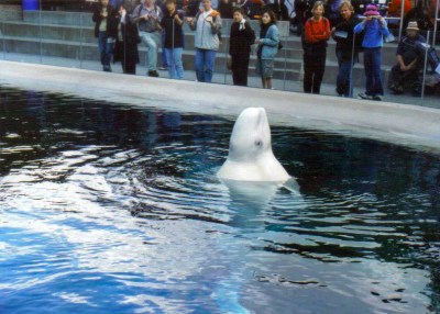 Stanley Park, Vancouver, British Columbia