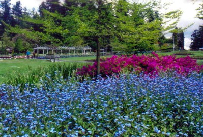 Stanley Park, Vancouver, British Columbia