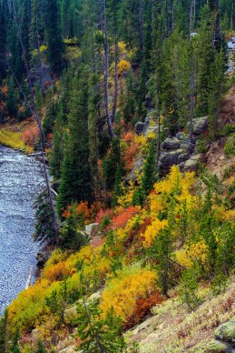 Yellowstone National Park