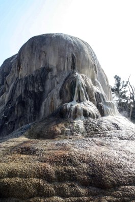 Mammoth Hot Springs, Yellowstone National Park