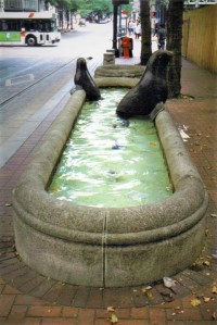 Seals in a Bathtub, Portland, Oregon