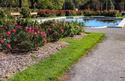 Reinisch Rose Garden, Gage Park, Topeka, Kansas