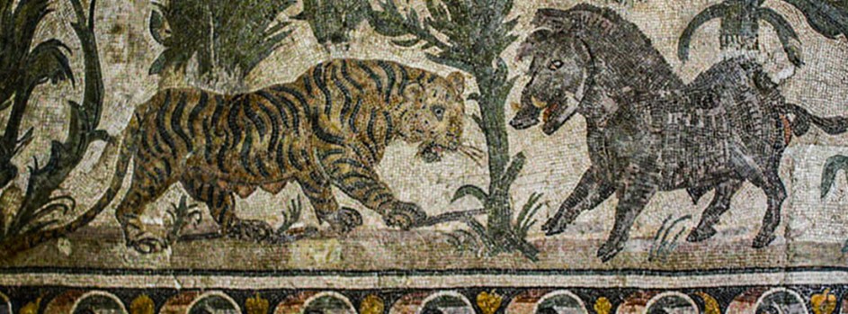 Tigress and Boar, Baltimore Museum of Art, Maryland