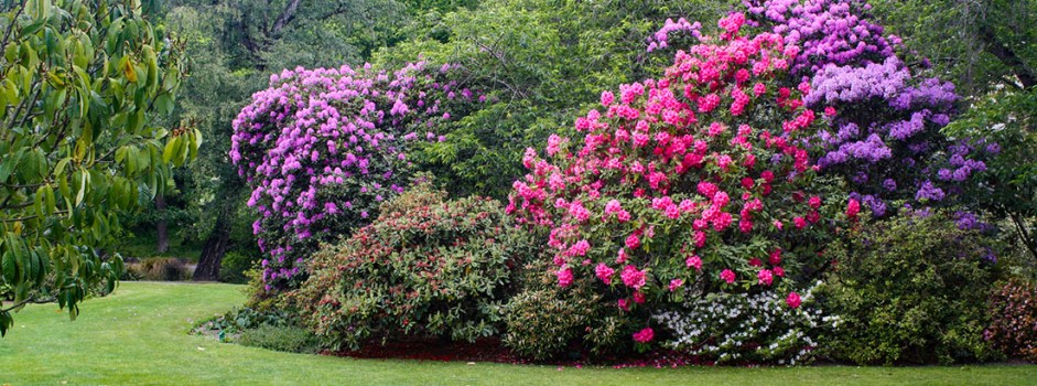 Christchurch Botanic Gardens, New Zealand