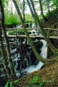 Plitvice Lakes National Park, Croatia