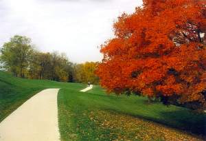 University of Wisconsin, Madison