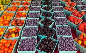 Farmers Market, Albany, New York