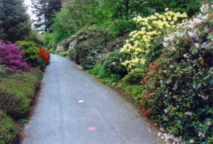 VanDusen Botanical Garden, Vancouver, British Columbia