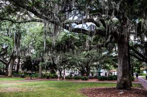 Lafayette Square, Savannah Georgia