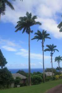 Ottley's Plantation Inn, St. Kitts