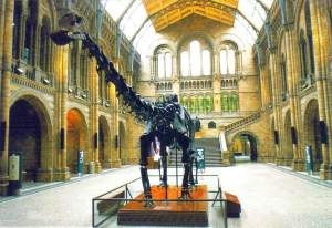 Natural History Museum, London, England