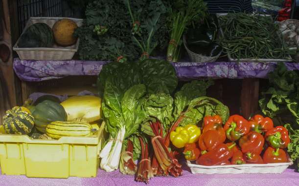 Ithaca Farmers Market, Ithaca, New York